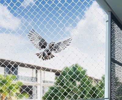 Bird Netting Service